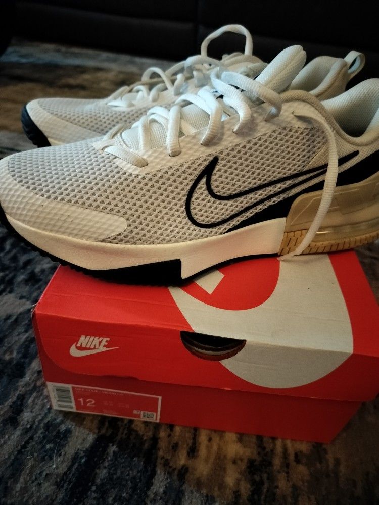 Brand New In Box Size 12 Nikes