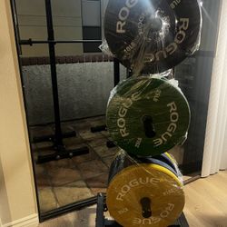 🔴 Titan Fitness Bumper Tree 