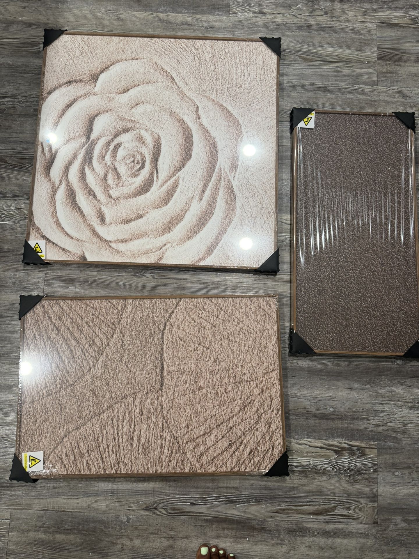 *Brand New* Brown Beige Flower Canvas Wall Art for Living Room