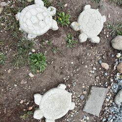 Free Turtle Stones 