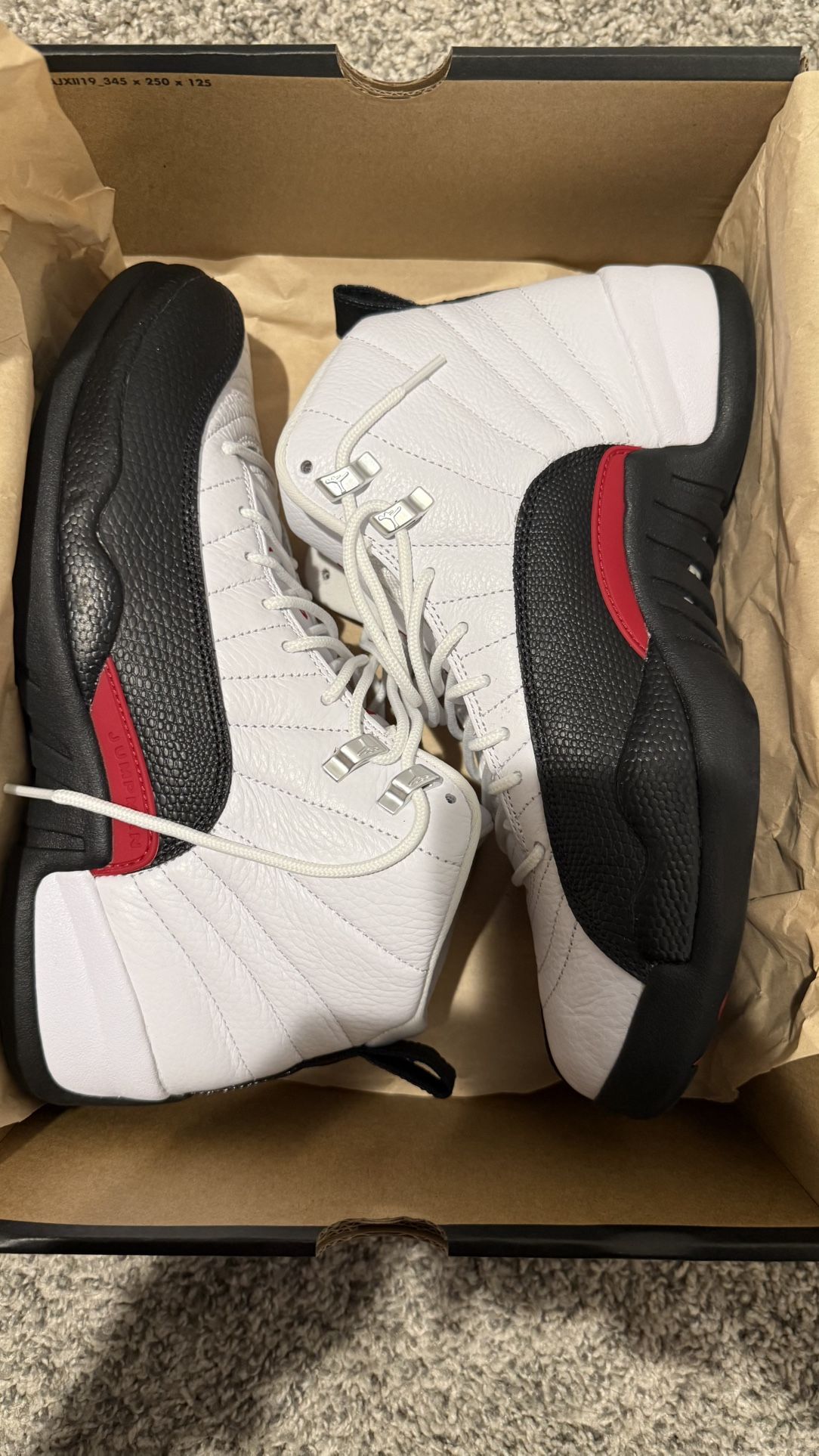 jordan 12