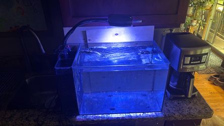 Fluval Evo 13.5 g aquarium with AI Prime
