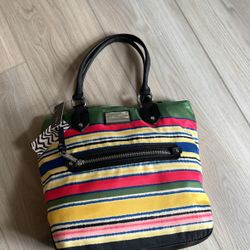 Dana Buchman Purse 