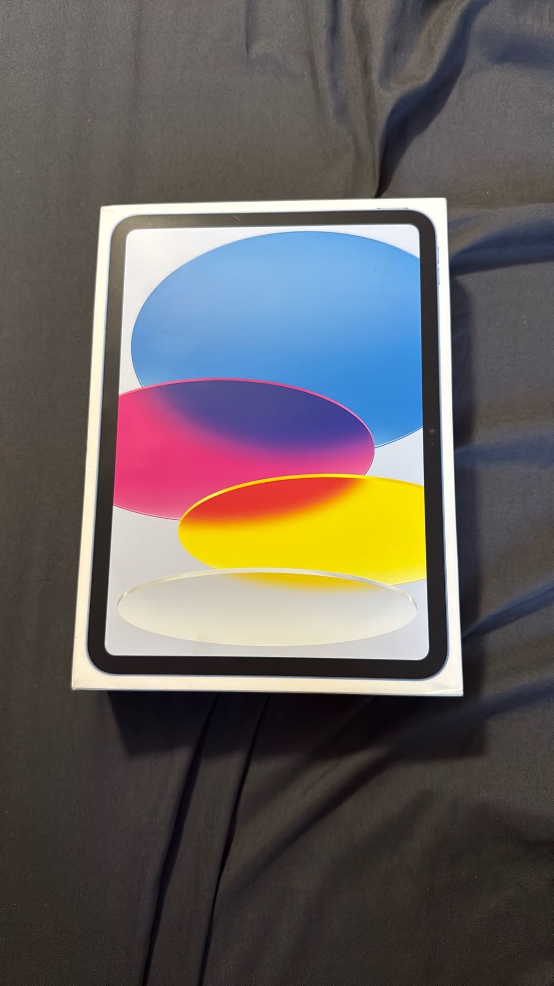 Apple iPad 10.9 Inch WiFi 256GB (2022, 10th Gen)