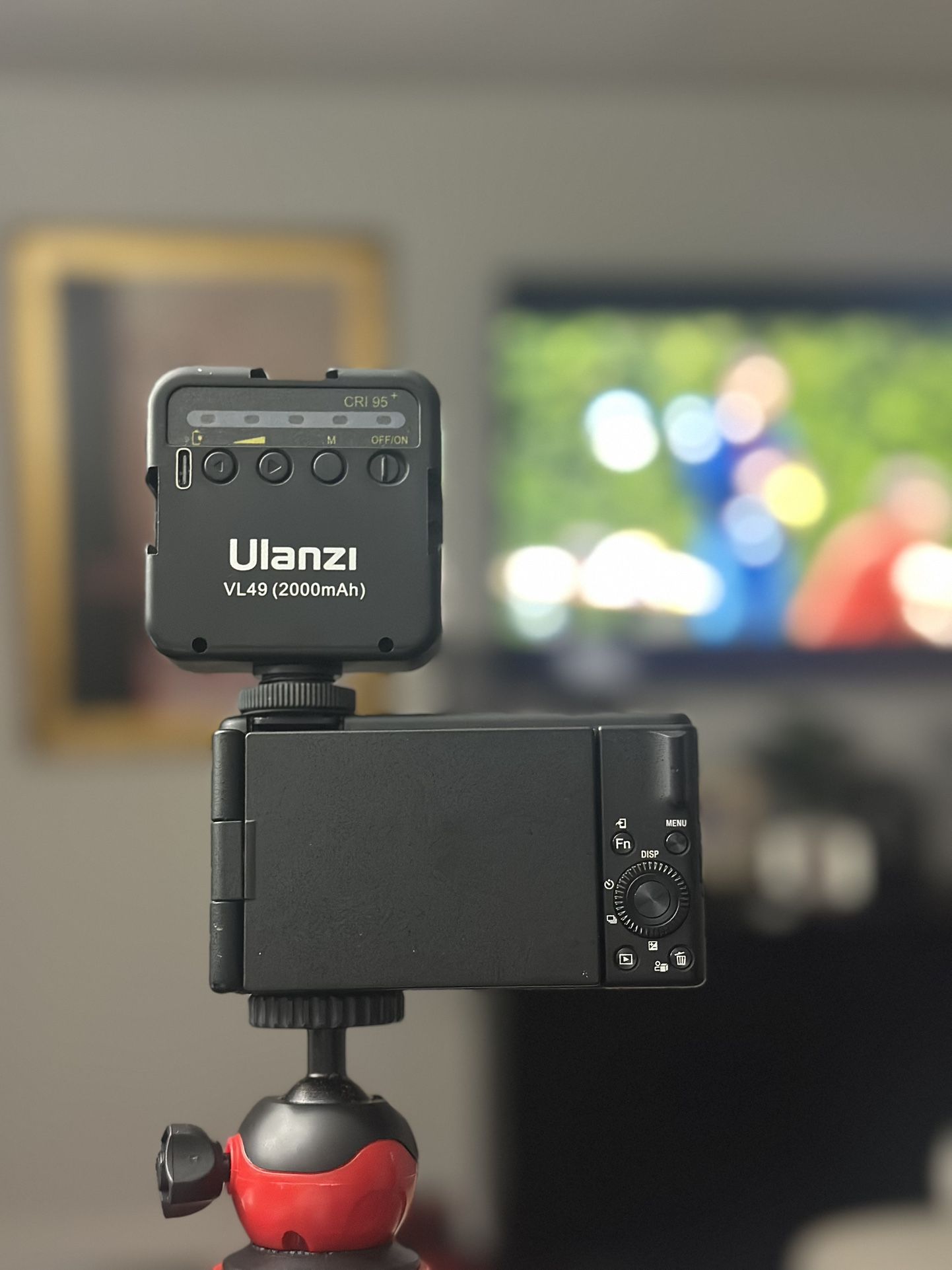 Sony ZV-1F