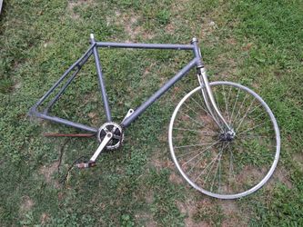 Schwinn brighton. 27,,, project bike