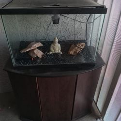 20 Gallon Fish Tank Aquarium And Stand