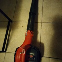 Homelite Blower 100$