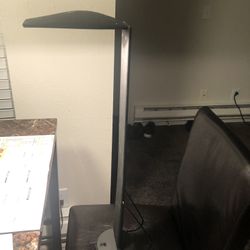 VTG ITALIANA LUCE DOVE Mario Barbaglia Marco Columbo LG Table Lamp Light ITALY