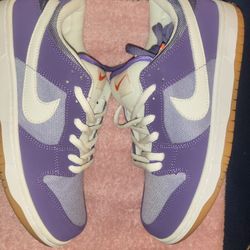 Nike Dunk Sb Low Size 10 New 