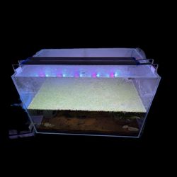  25 gallon rimless Fish tank plus light and glass lid