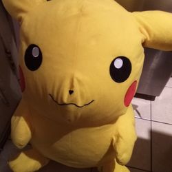 Big New Picacho $100