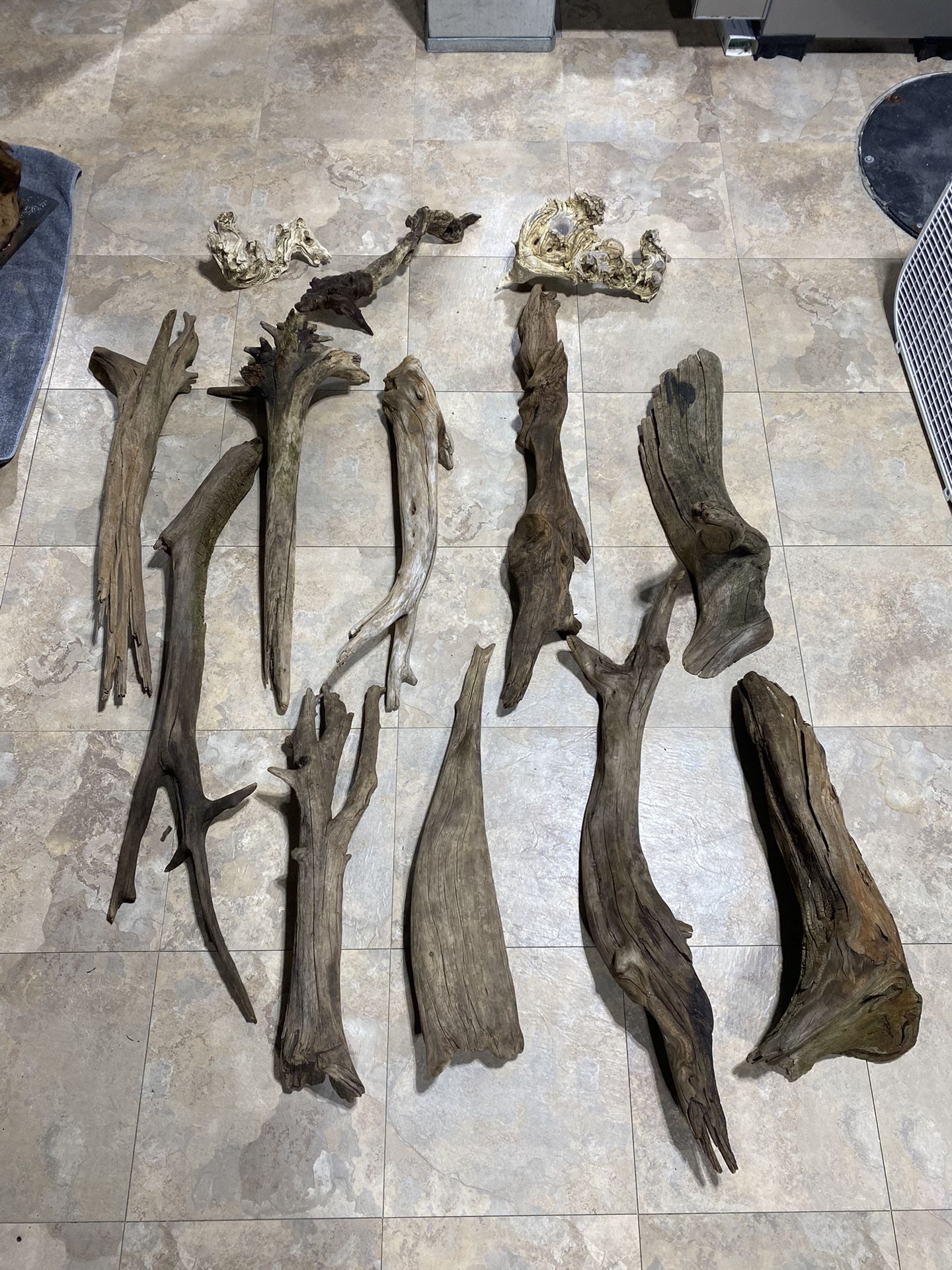 Large Collection Driftwood Fish Tank Aquarium Taxidermy