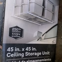 Ceiling Storage Shelves 