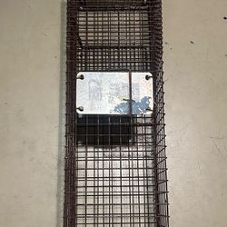 Animal Trap
