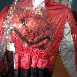 Power Ranger Halloween Costume 