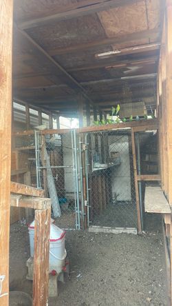 /parakeets Outdoor  Wire Bird cage/parakeets