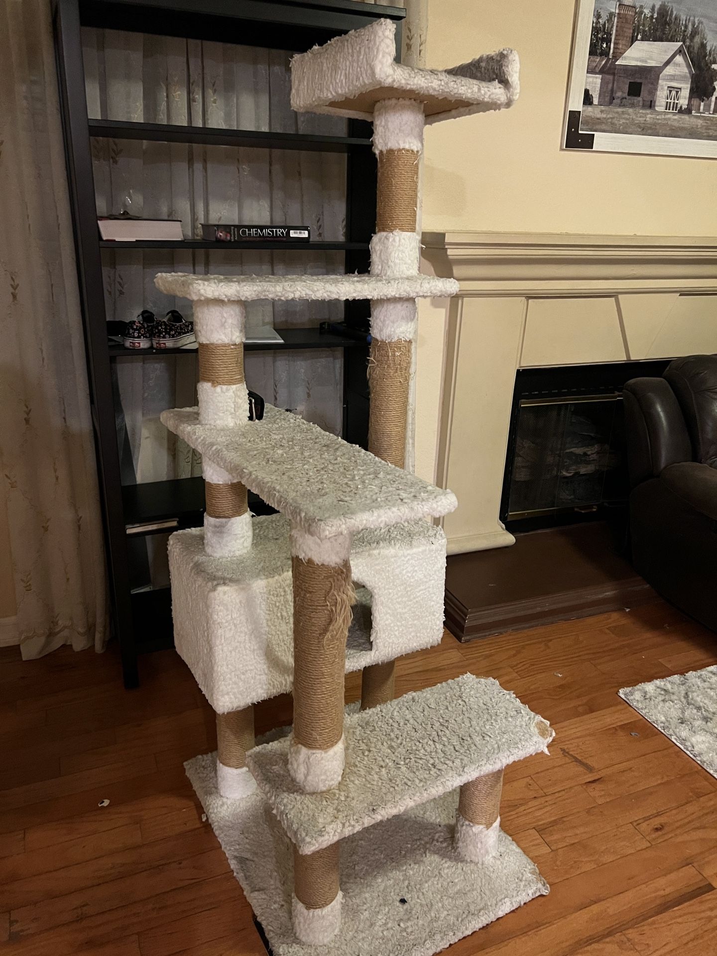 Cat Tower and Catio