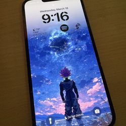 256 GB iPhone 13 Pro Max