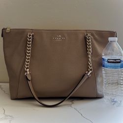 BIG COACH PURSE