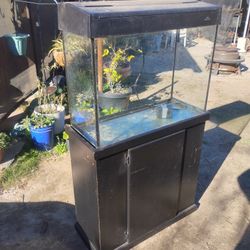 Eclipse Fish Tank 