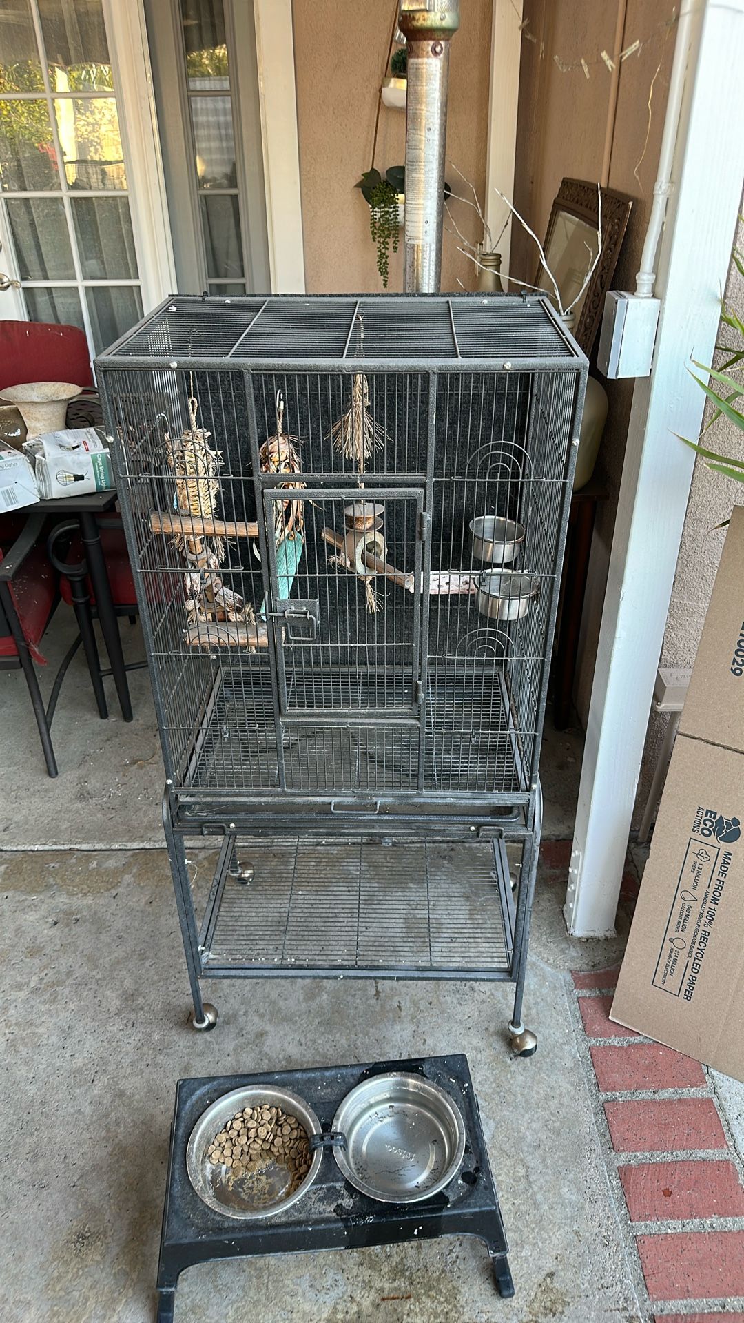 Bird Cage