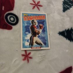 San Francisco 49ers Jerry Rice. Collectible