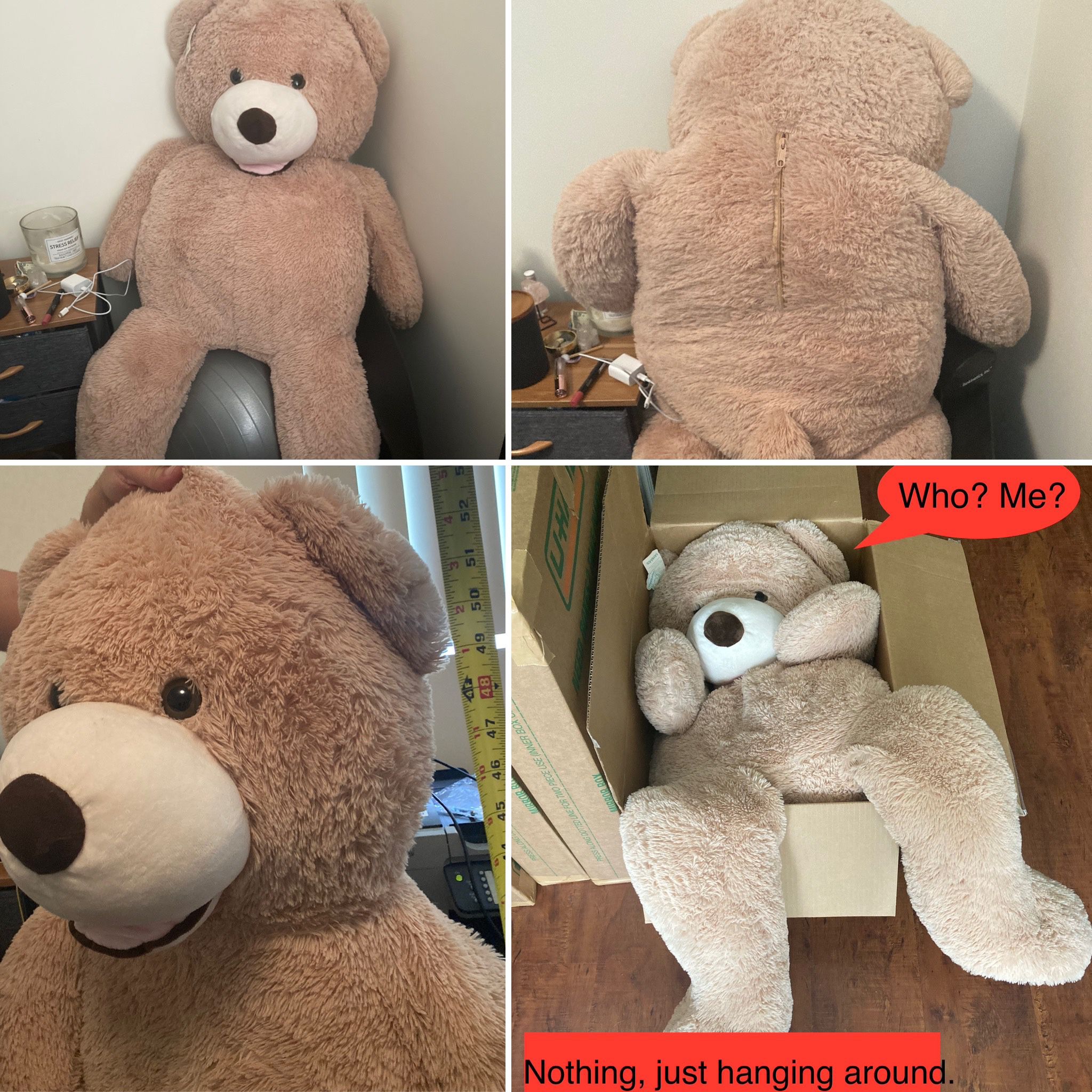 Big Teddy Bear - R1 - 00055502634