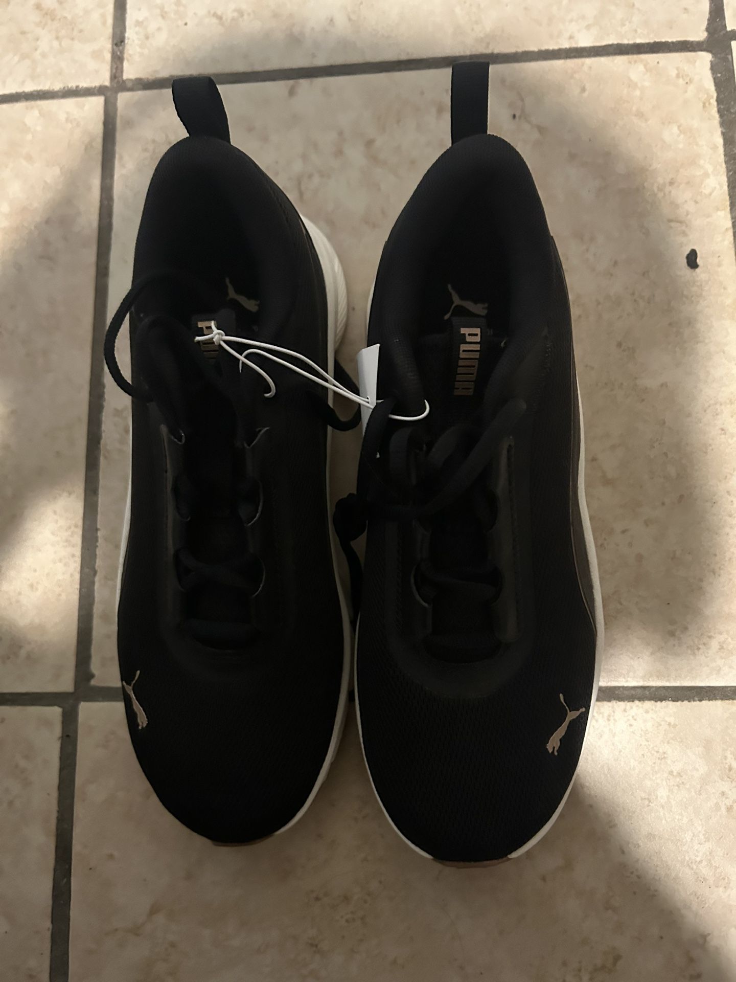 Brand New Puma Shoes