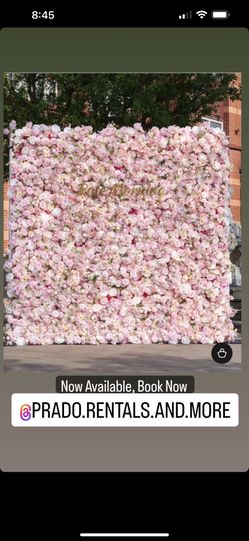 Pink Flower Wall Backdrop