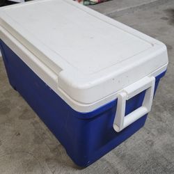 Igloo cooler, Blue
