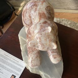 Certified Marble Bear 