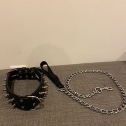 Puppy/Dog Accessories