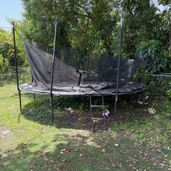 Free Family Trampoline