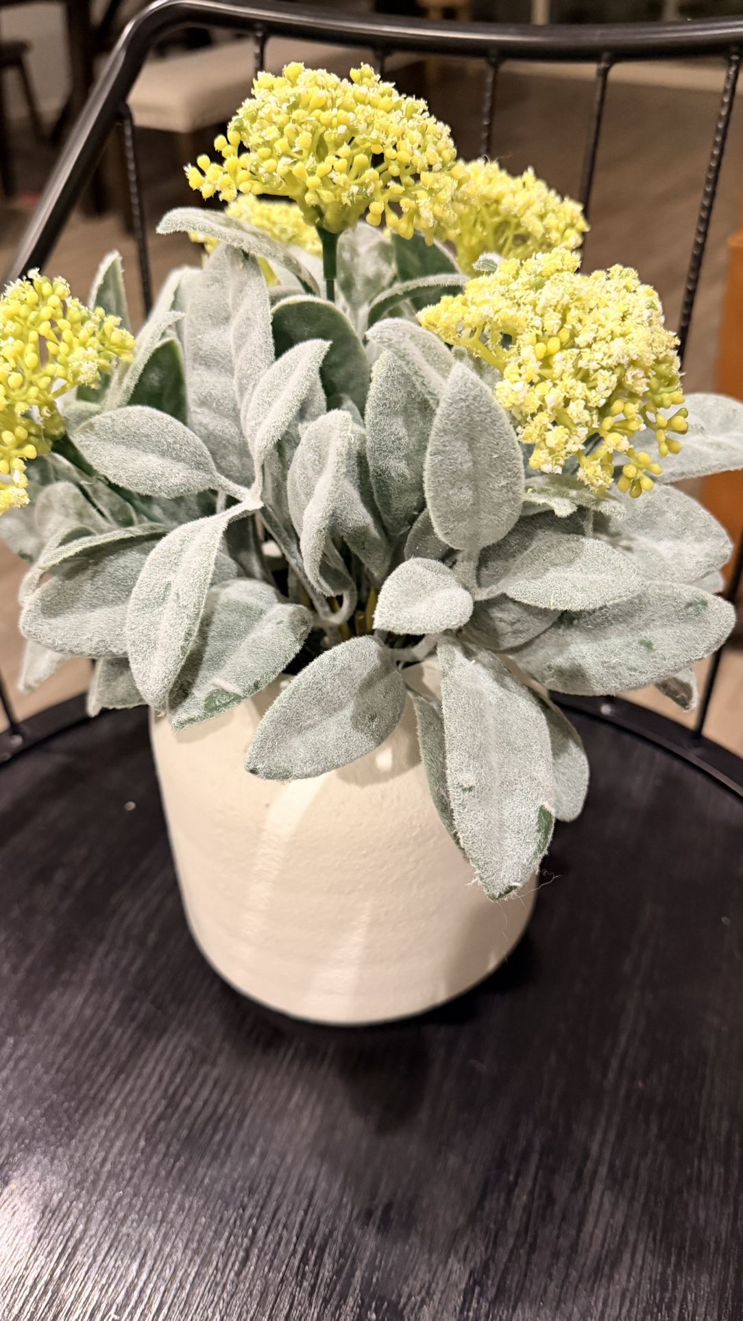 Kirkland Plant Decor ( About 10-11 Inches In Height )