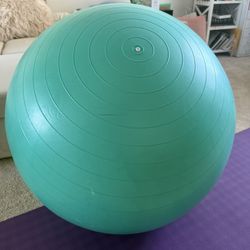 Exercise Ball