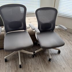 Office Chairs