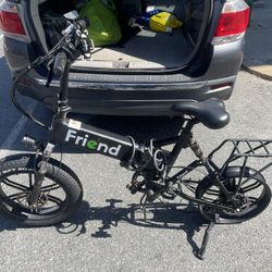 Friends E-bike 