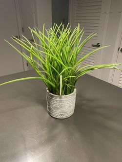 Faux Grass Plant in Decorative Cement Pot