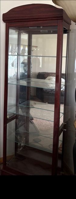 Lighted Glass Curio  Wood Frame