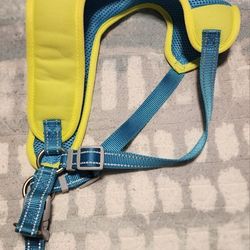 NEW w/o tags never used Large Dog harness Teal/Yellow

Pick up 77095 near Telge/West