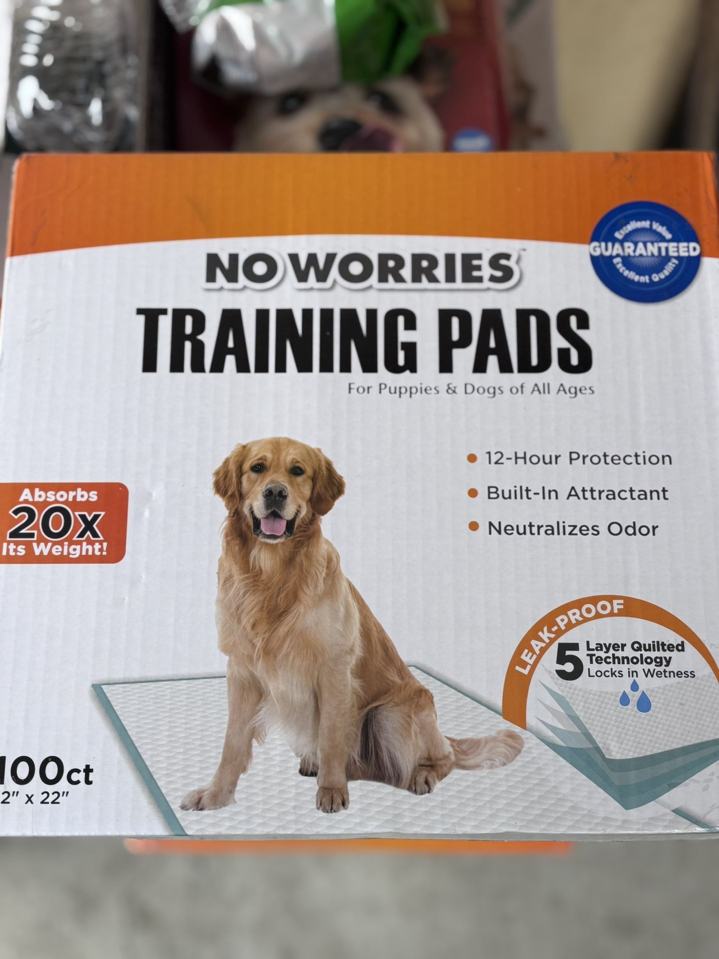 Dog Training Pads