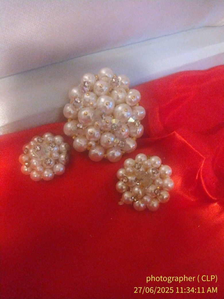 Vintage Clip On Earrings And Pin
