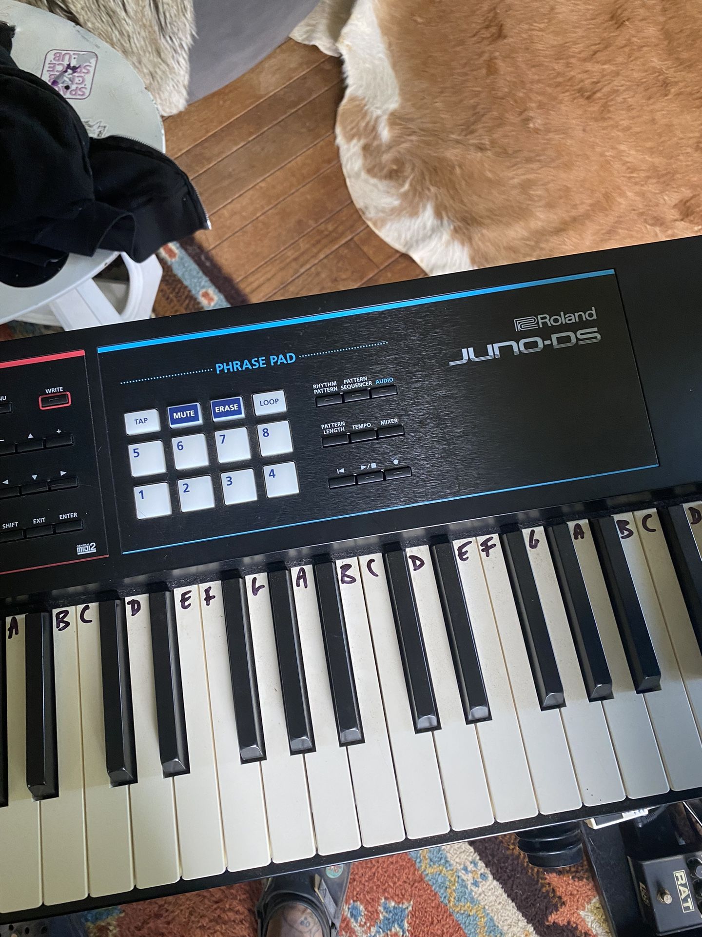 JUNO DS WEIGHTED 88 Key SYNTH