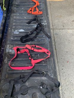 Dog harness $7 each