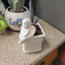 Ceramic Angel Pot  And Accorn Cactus