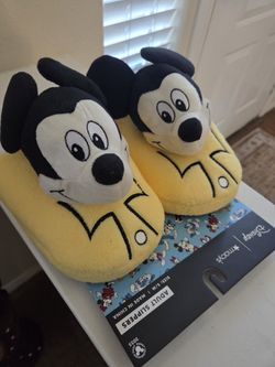 Mickey Sleepers 