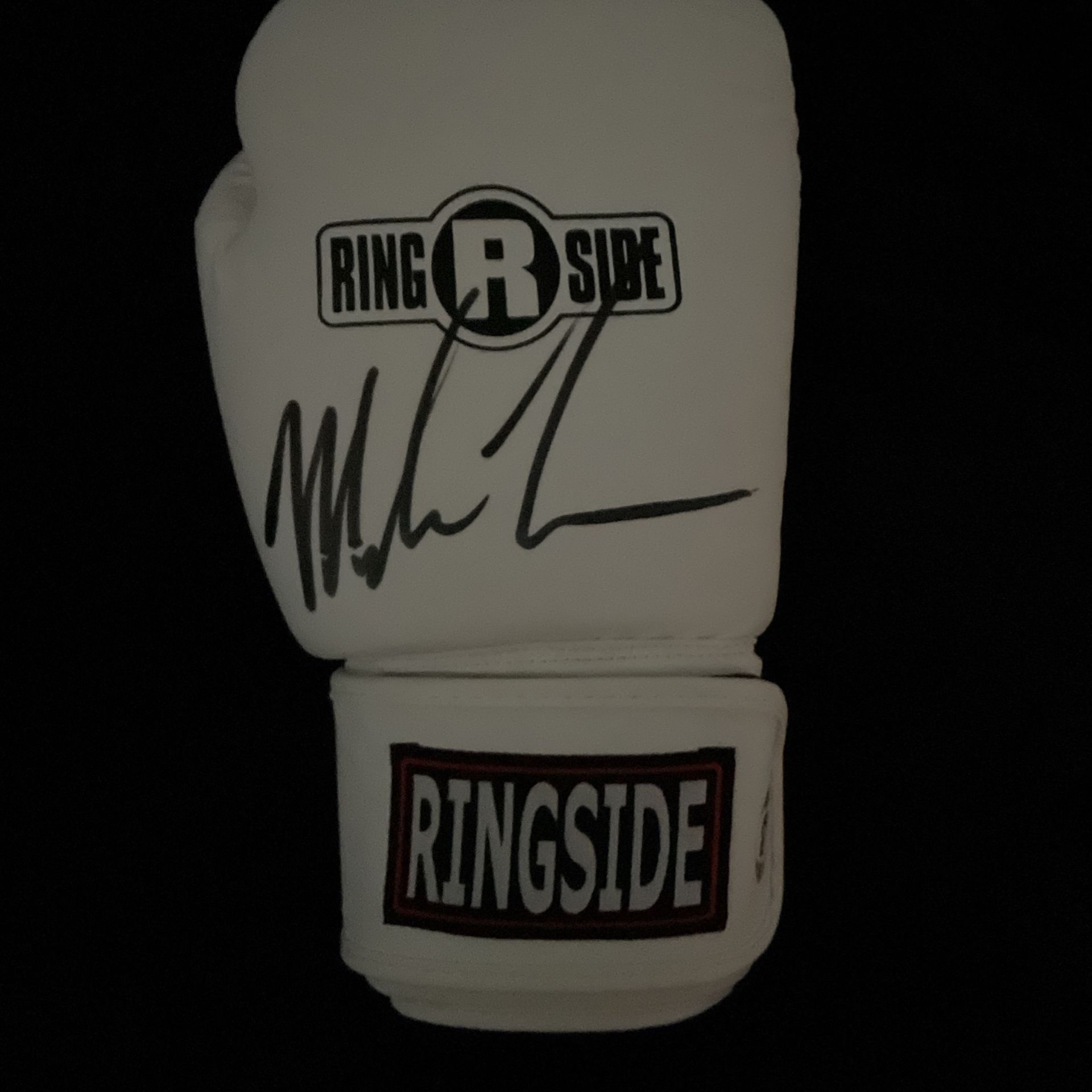 Mike Tyson Boxing Glove