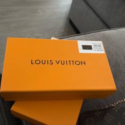 Bolsa y monedero  Louis Vuitton