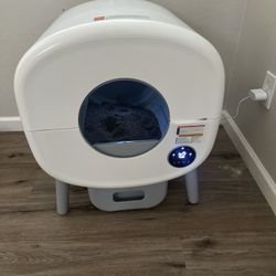 Automatic Litter Box